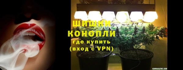 дмт Арсеньев